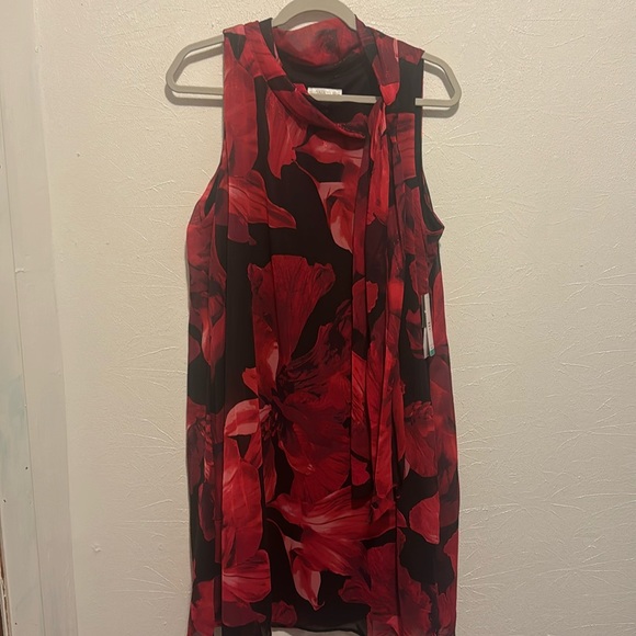 Ladies Dress - Picture 1 of 5